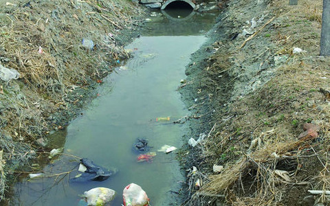 thumb-12113-5959-item