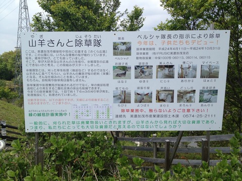 AC666344-7A19-455C-B17A-B24C7255A4DB