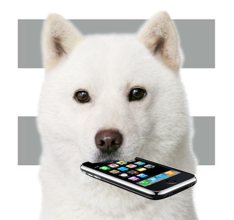 20120111_hinagataakiko_06