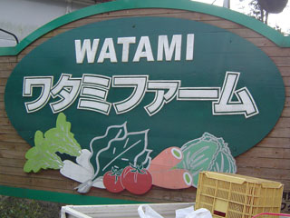 watami1718