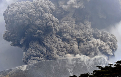 20110202TRIMG_0005500001