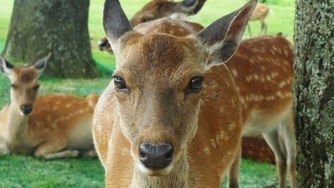 bKtONPhHBkLcquv-1600x900-noPad