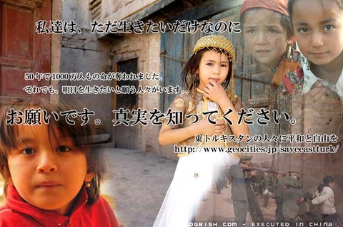 img20081129024443150