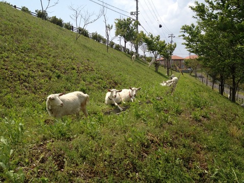 45D2AB39-346B-4000-A400-23578083695B