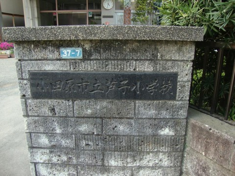 00000000000000210469_0000004701_1