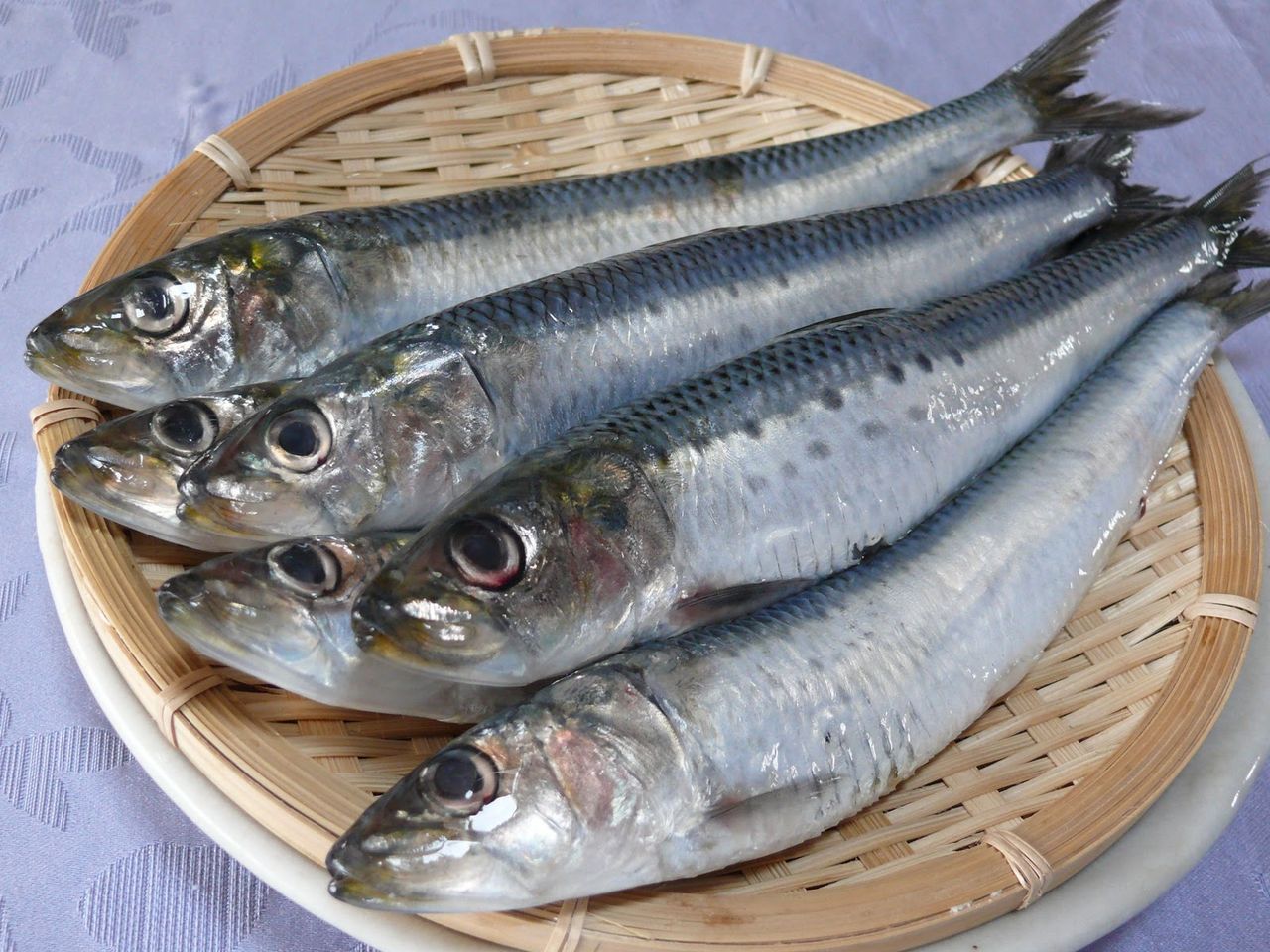 栄養 イワシやサバ 青魚がヒトの 恐怖記憶 を消す 恐怖の記憶以前に美味いじゃん 青魚 美味しいのが好き 栄養 イワシやサバ 青魚がヒトの 恐怖記憶 を消す 恐怖の記憶以前に美味いじゃん 青魚 美味しいのが好き