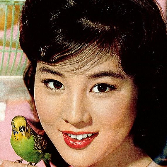 1960年代のアイドルbest レトロメディア 囃ハルト商店 1960年代のアイドルbest レトロメディア 囃ハルト商店