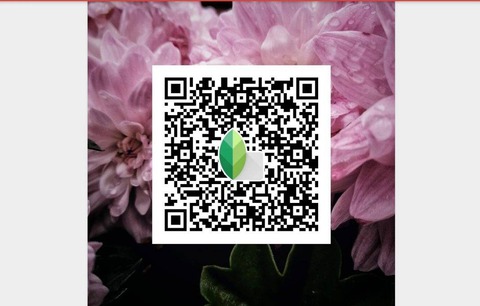 Appseed Qr Code Snapseed QR Codes: Your Ultimate Guide to Simplified Photo Editing and ...