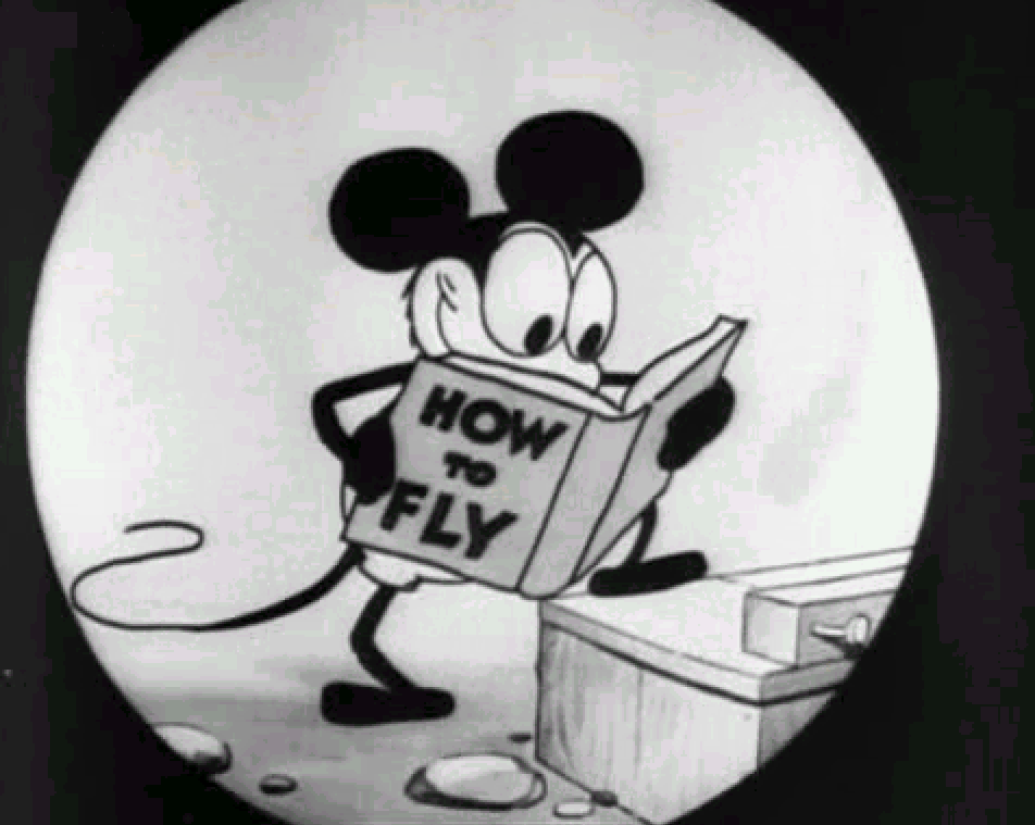 NO.1443 【真作】 PLANE CRAZY 鑑定書付 アニメーション セル画 限定品 額装 プレーンクレイジー ミッキーマウス モノクロ 白黒 WALT DISNEY ディズニー NO.1443 【真作】 PLANE CRAZY 鑑定書付 アニメーション セル画 限定品