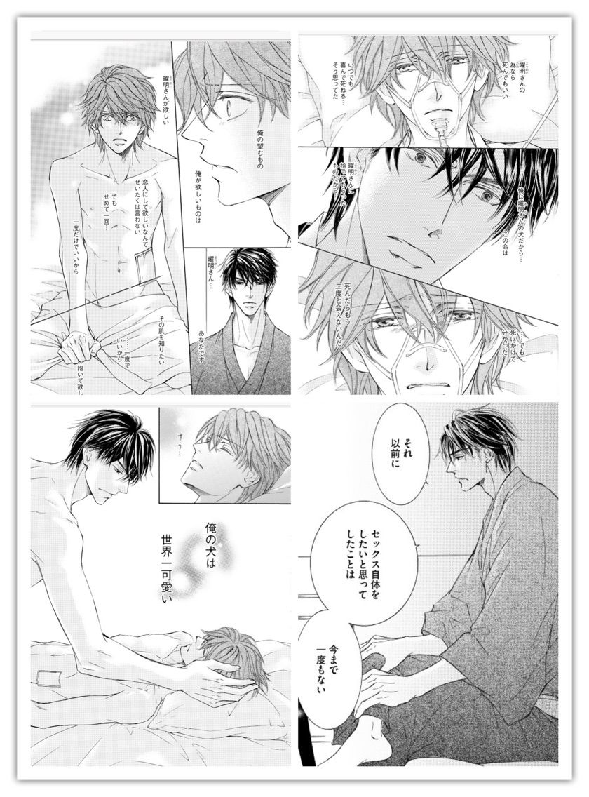 市販 Bl漫画 志水ゆき 花鳥風月 1巻 9巻 カード 曜明 火弦 Financegala It