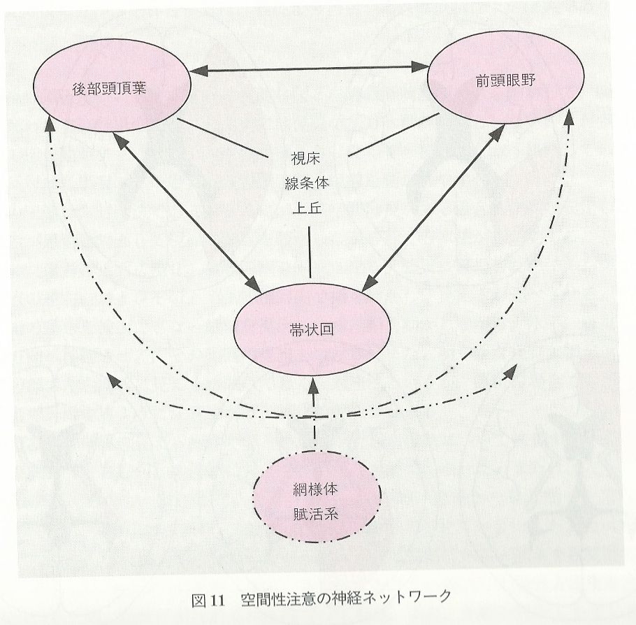 半側空間無視とは Keep On Thinking