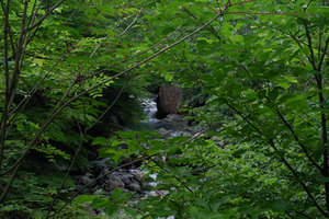 LRM_EXPORT_28079014325277_20190715_004425066