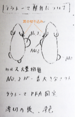 ル29
