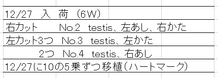 ル31