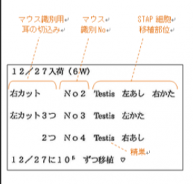 ル30
