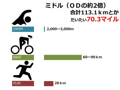 ミドル（ＯＤの約2倍）