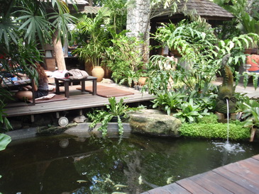 植物園カフェ Bankampu Tropical Gallery Cafe ばんこくかぞく 雨のち晴れのち たのしいくらし