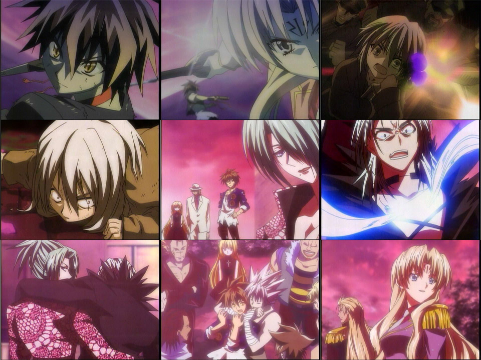 Black Cat 19 対決する猫 Spring Mist Black Cat 19 対決する猫 Spring Mist