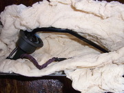 RIMG0208
