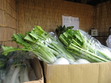 無人野菜販売