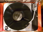 RIMG1256-06