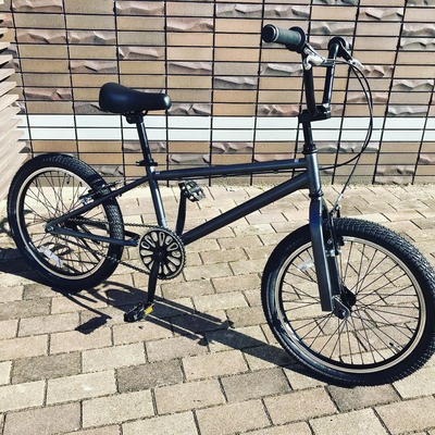 BMX1