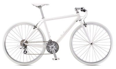 PALETTE(Aurora White