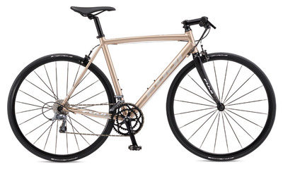 ROUBAIX AURA(Champagne Gold)