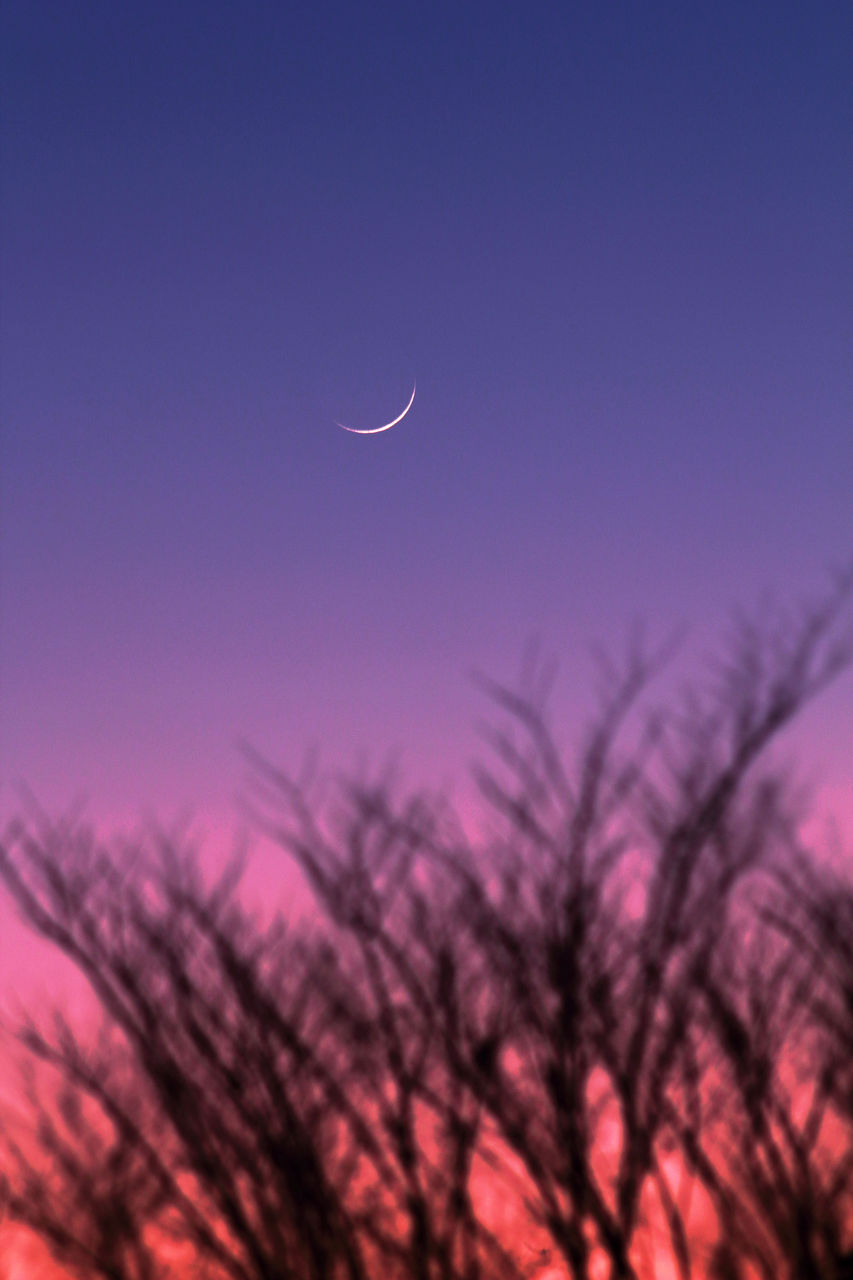 沈む月 月齢1 5 18 02 17夕 星は空の彼方 月よりも遠く 沈む月 月齢1 5 18 02 17夕 星は空の彼方 月よりも遠く