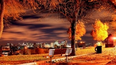 view-from-a-park-above-nyc-on-an-autumn-night