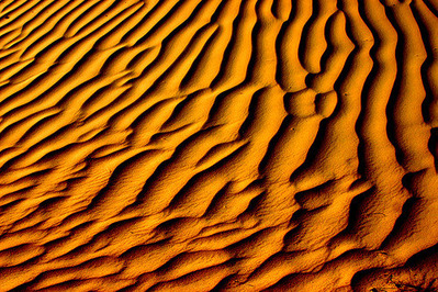 desert_sand_waves_10341_l