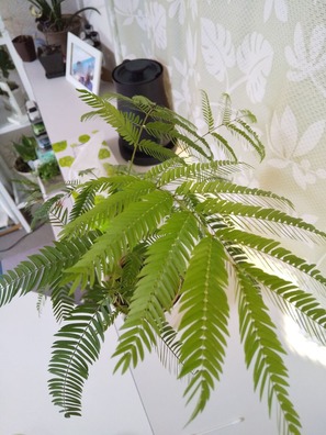 11/22¤Î¤ß¤É¤ê¢