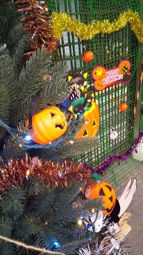 クリスマ・・・ウィン