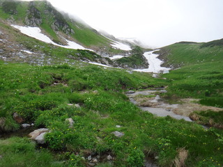 DSC03591