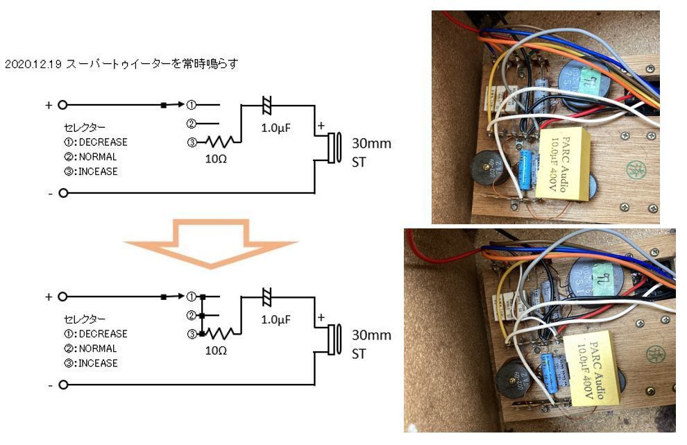 DS－251mkⅡ の無極性電解コンデンサーを全て交換することに
