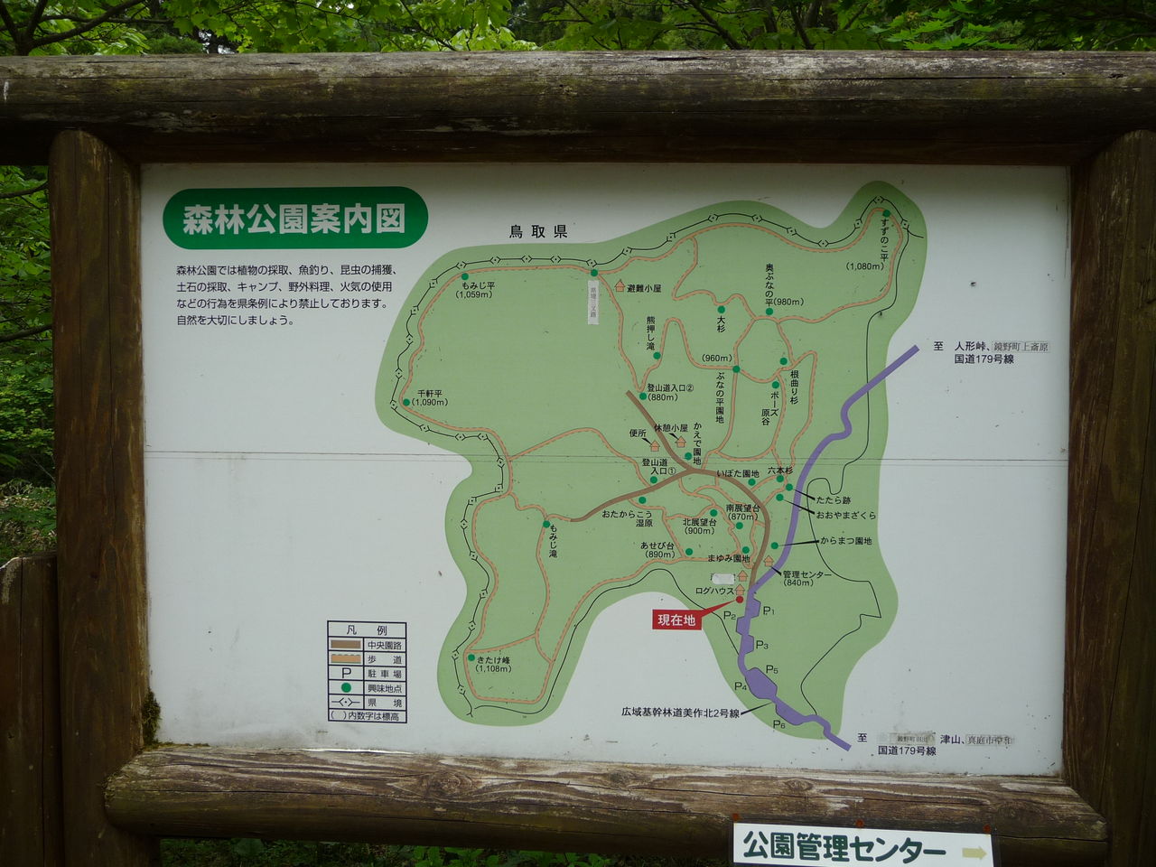 岡山県森林公園 気の向くままに写真を撮りたい