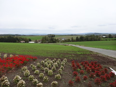 DSC05915