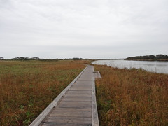 DSC05297