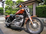 IMG_5579-w500