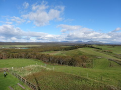 DSC05611