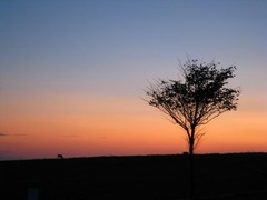IMG_8770