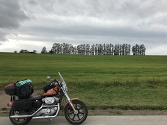 IMG_8548