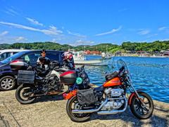 DSC03653