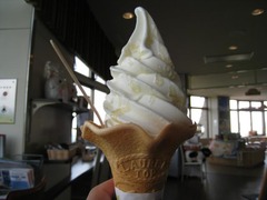 IMG_8848