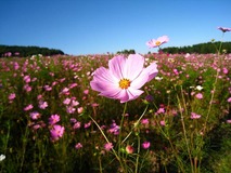 IMG_6514-w640