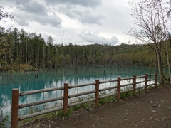 DSC05812