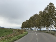 IMG_8544