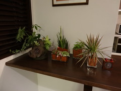 DSC01564