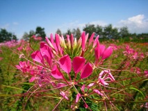 IMG_7050-w640