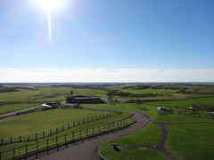 DSC05615